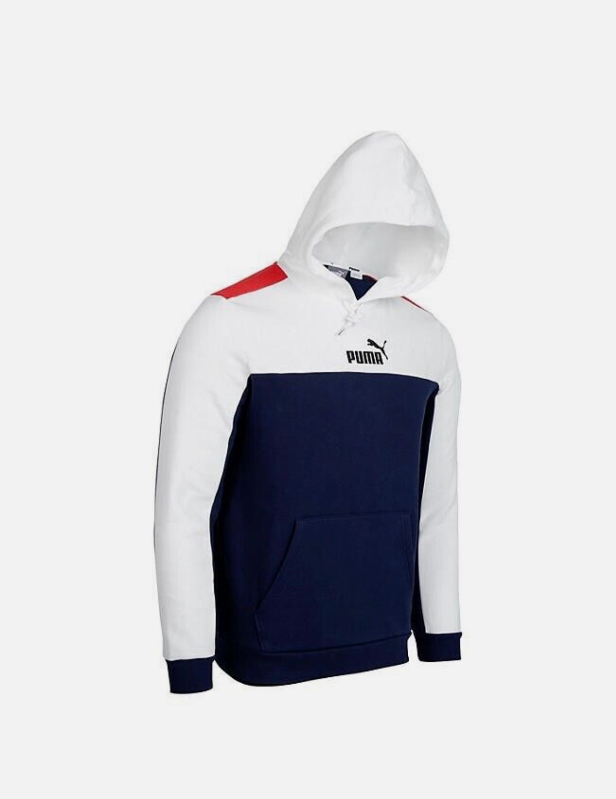Puma Men's Essentials Block Hoodie