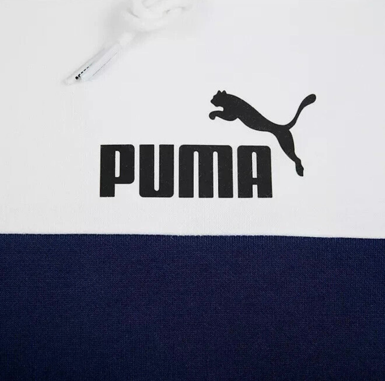 Puma Men's Essentials Block Hoodie